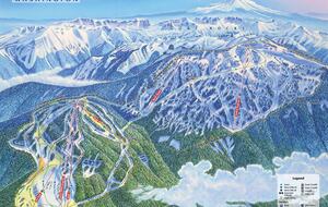 Lost Owl Lodge - Packwood, Washington