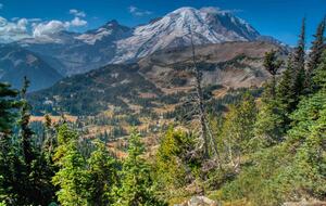 Lost Owl Lodge - Packwood, Washington