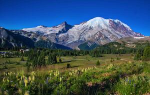 Lost Owl Lodge - Packwood, Washington