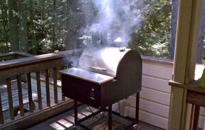 Lost Owl Lodge - Packwood, Washington