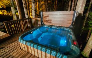 Lost Owl Lodge - Packwood, Washington