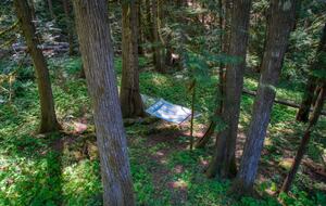 Lost Owl Lodge - Packwood, Washington