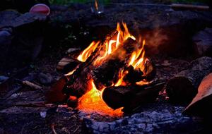 Lost Owl Lodge - Packwood, Washington