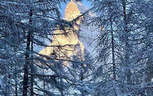 Matterhorn View Apartment - Zermatt, Switzerland
