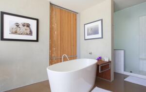 Architectural Oasis in Venice - Venice, California