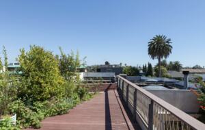 Architectural Oasis in Venice - Venice, California