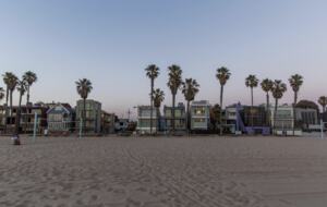 Architectural Oasis in Venice - Venice, California