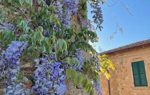 Casa Nobile - Trequanda, Italy