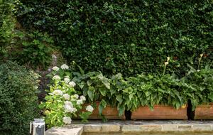 Casa Nobile - Trequanda, Italy