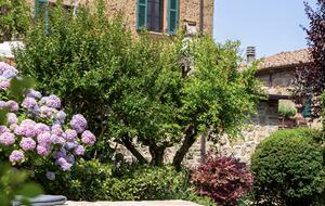 Casa Nobile - Trequanda, Italy