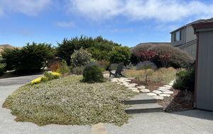 Front yard patio at driveway.