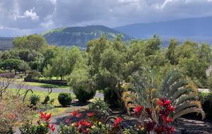 Serene Big Island Oasis - Kailua Kona, Hawaii