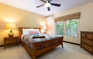 Second downstairs bedroom with a queen bed