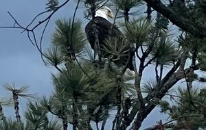 Montana Lake Cabin - Polson, Montana