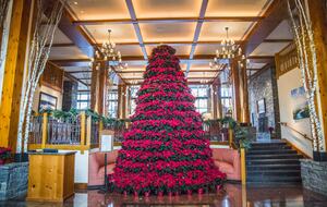 Stunning Stowe Studio | Top Floor Views, Ski In/Out - Stowe, Vermont