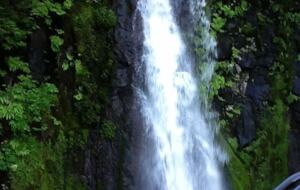 Lake Front Lodge on Lake Swift - Cougar, Washington