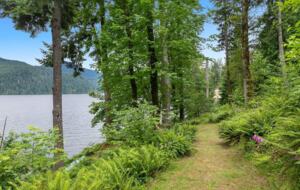 Lake Front Lodge on Lake Swift - Cougar, Washington