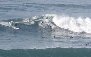 Cardiff Beach House - Cardiff by the Sea, California