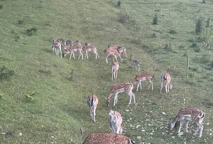 Countryside River House Paradise - Zvecaj, Croatia