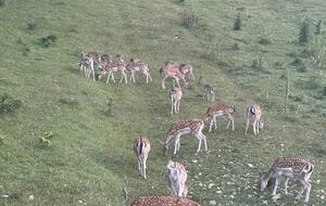 Countryside River House Paradise - Zvecaj, Croatia