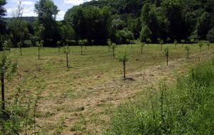 Château de Roucaudou - Manaurie, Les Eyzies, France