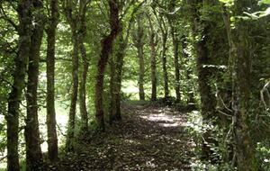 Château de Roucaudou - Manaurie, Les Eyzies, France