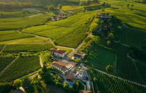 Bosco Bracco: Scenic Hilltop Vineyard Retreat in Asti - Canelli, Italy