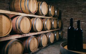 Bosco Bracco: Scenic Hilltop Vineyard Retreat in Asti - Canelli, Italy