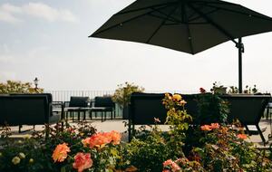 Bosco Bracco: Scenic Hilltop Vineyard Retreat in Asti - Canelli, Italy