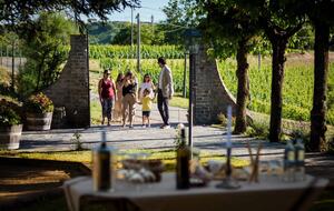 Bosco Bracco: Scenic Hilltop Vineyard Retreat in Asti - Canelli, Italy
