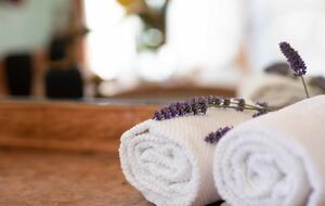 Bosco Bracco: Scenic Hilltop Vineyard Retreat in Asti - Canelli, Italy