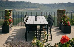 Bosco Bracco: Scenic Hilltop Vineyard Retreat in Asti - Canelli, Italy