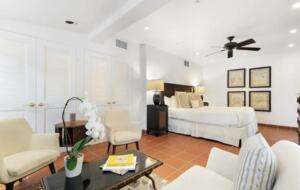 The Lucy House: Chic Palm Springs Retreat - Palm Springs, California