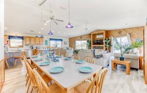 Star Fish - Corolla, North Carolina