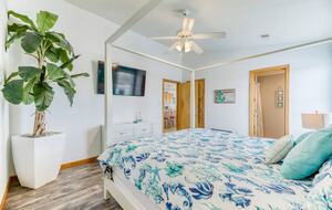 Star Fish - Corolla, North Carolina