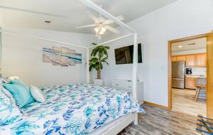 Star Fish - Corolla, North Carolina