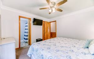 Star Fish - Corolla, North Carolina