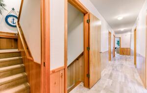 Star Fish - Corolla, North Carolina