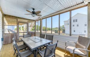 Star Fish - Corolla, North Carolina