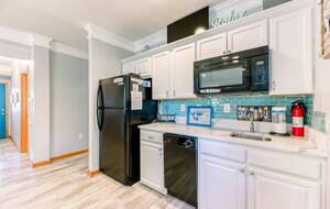 Star Fish - Corolla, North Carolina