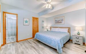 Star Fish - Corolla, North Carolina