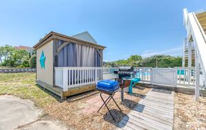 Star Fish - Corolla, North Carolina