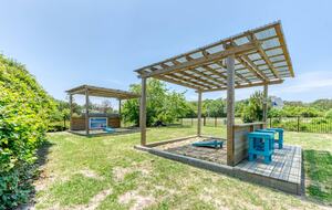 Star Fish - Corolla, North Carolina