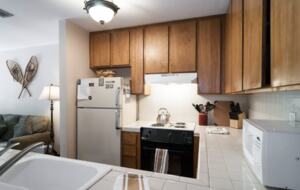 Lake Tahoe Retreat - Carnelian Bay, California