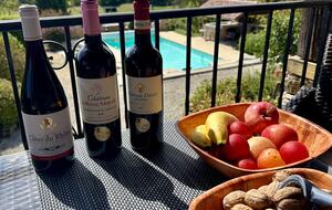 Les Hirondelles Dordogne Stone House - Gindou, France