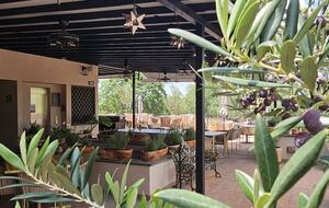 Agua Santa Premium Suite - San Miguel de Allende, Mexico