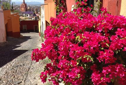 Historic Centro & Stellar Views