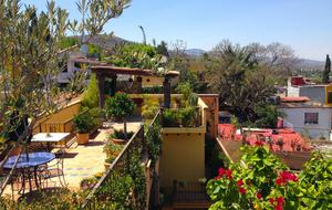 Rooftop garden spans the house