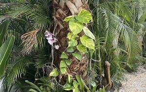 Tropical Beach House | Private & Luxurious with Beach View, Pool, Spa, and Steps to Sand! - Bradenton Beach, Florida