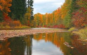 Lake Wenatchee Lodge - Leavenworth, Washington